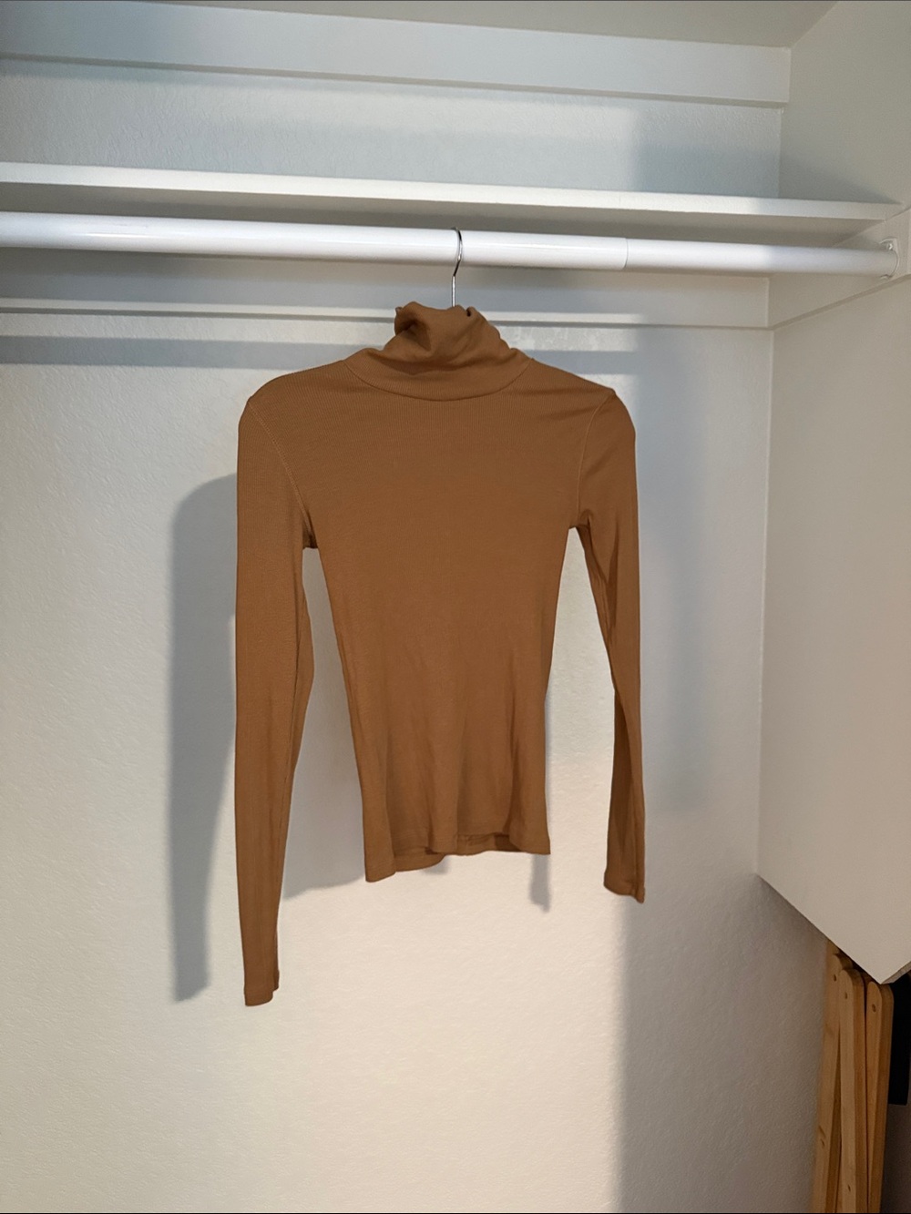 Everlane Slim Fit Turtleneck Top - Brown